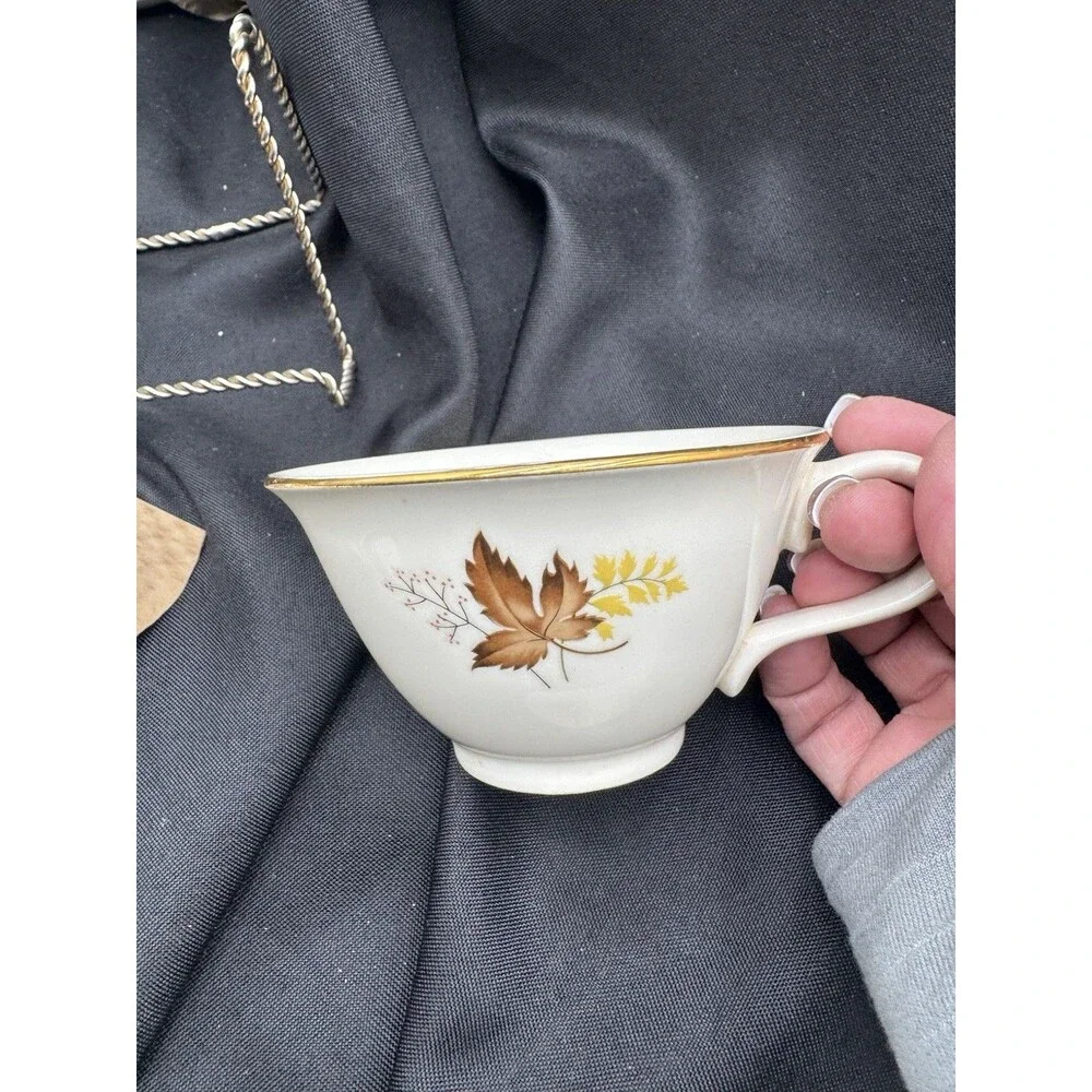 Leaf O Gold Dish Set Brand New! Set Of 16